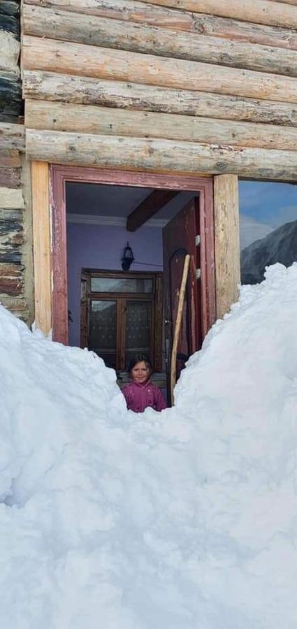 Guesthouse Svanuri Sakhli Usguli Kültér fotó