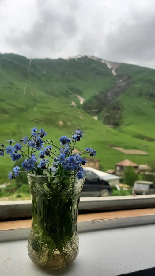 Guesthouse Svanuri Sakhli Usguli Kültér fotó